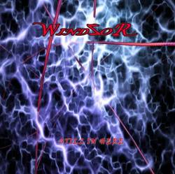 Windzor : Still in Here